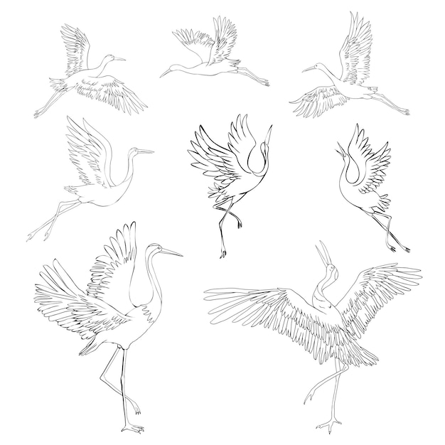 Silhouette or shadow black ink icons of crane birds or herons flying and standing set Group of storks outline template or creative background vector illustration isolated on white