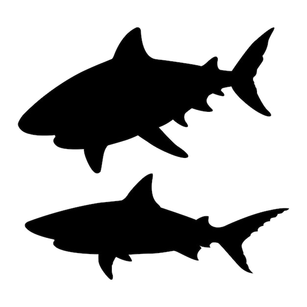 silhouette of a shark