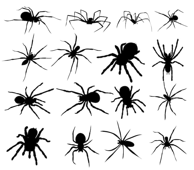 Silhouette spider set collection