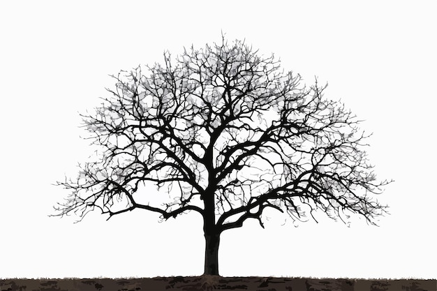 Silhouette of a Tree Clipart Isolated on White Background for Design Projects