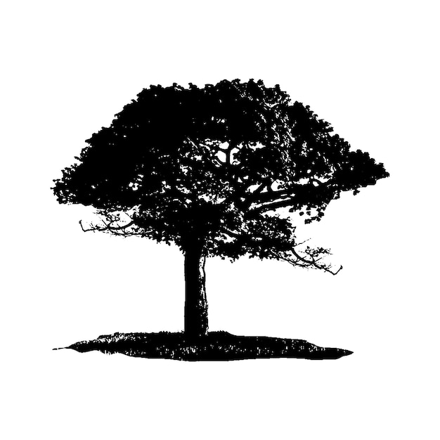 Vector silhouette tree vector, black white tree background