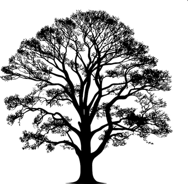 Vector silhouette tree vector design white background