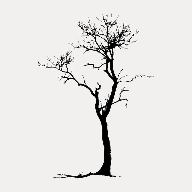 Silhouette tree with bare branches