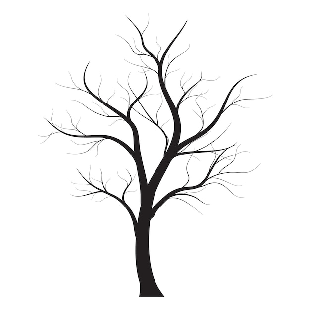 Silhouette of a tree without leaves. Trunk with branches. Beautiful crown. Design element for logo