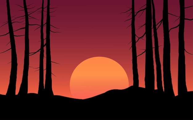 Silhouette of trees and sunset landscape