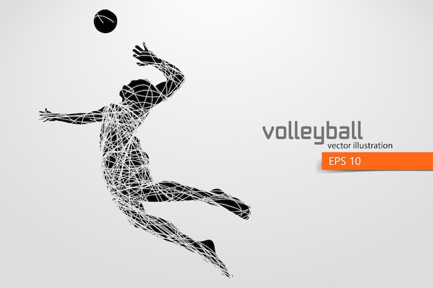 Silhouette of volleyball player, man