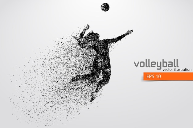 Silhouette of volleyball player, woman