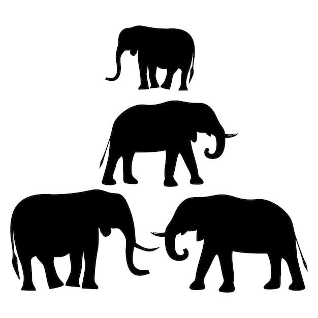 Silhouettes of African elephants