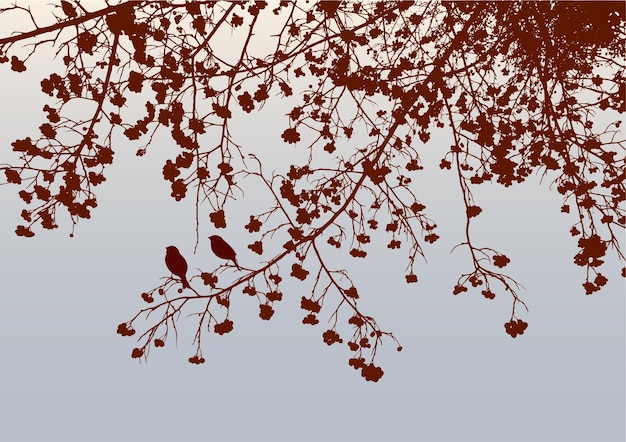 Silhouettes of birds on branches rowan tree with ripe berries