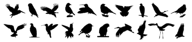 Silhouettes of birds different pack of bird silhouettes