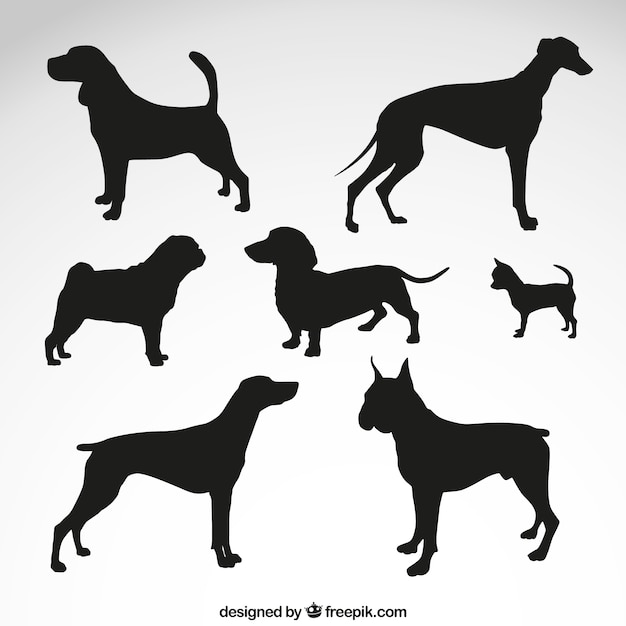 Vector silhouettes of dog breeds