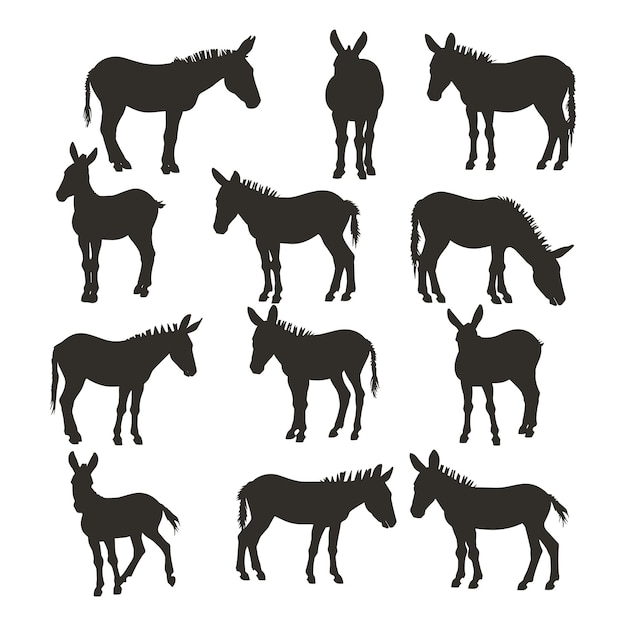 Vector silhouettes of donkeys in various poses isolated on a white background