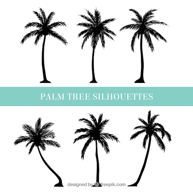 Silhouettes of palm trees