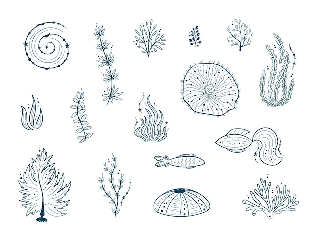 Silhouettes of sea life outline isolated on white Hand drawn illustrations of engraved line