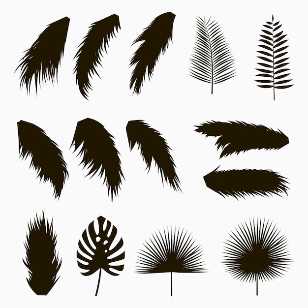 Silhouettes of tropical and palm leaves Set of isolated jungle exotic plants leaf