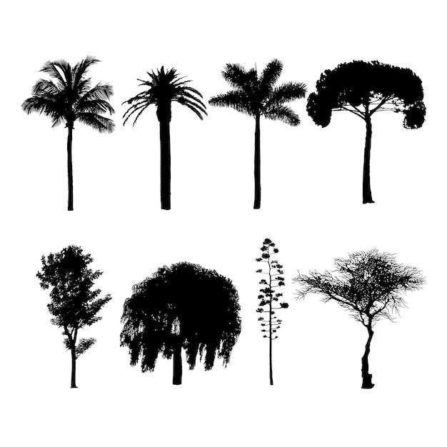 Silhouettes of various trees Deciduous and coniferous forest trees and palm trees of black shape patterns of wild nature trees