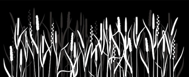 Vector silhouettes of white grass on a black background