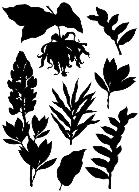 Silhouettes of ylang ylang and lupine flowers and leaves vector clip art set of botanical illustrations