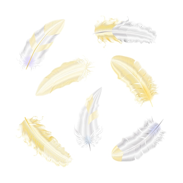 Silver and gold glitter feathers.Boho style elements.