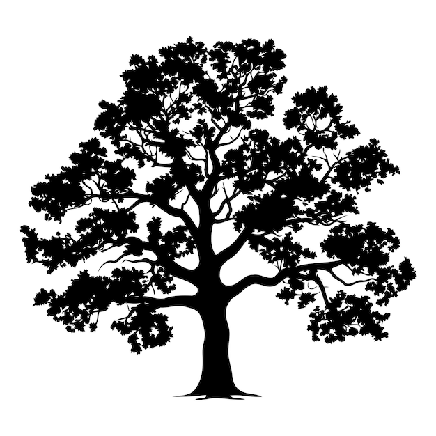 Simple black silhouette of a large oak tree isolated on a white background