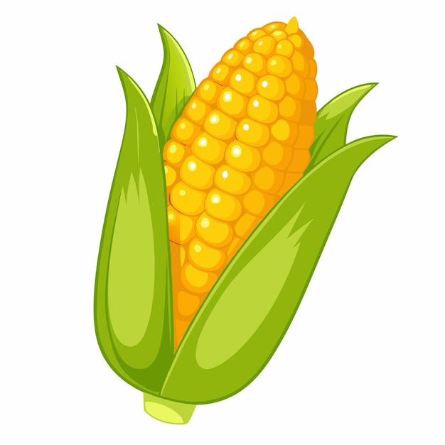 Vector simple corn isolated on white background