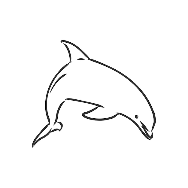 Simple dolphin silhouette dolphin vector sketch on a white background