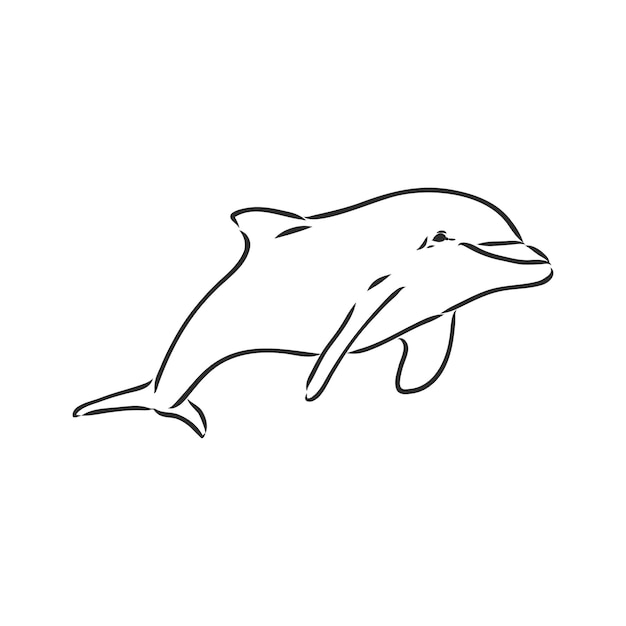 Simple dolphin silhouette dolphin vector sketch on a white background