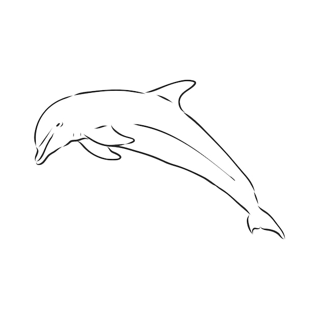 Simple dolphin silhouette. dolphin, vector sketch on a white background