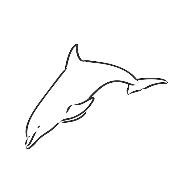 Simple dolphin silhouette. dolphin, vector sketch on a white background