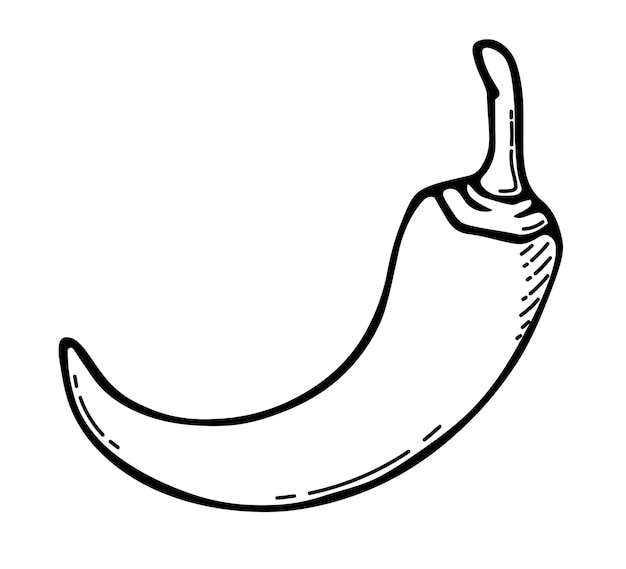 A simple drawing of a hot pepper Black outline isolated on a white background Doodle chili pepper