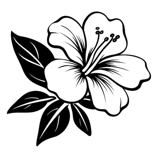 Vector a simple yet elegant black and white illustration of a hibiscus flower