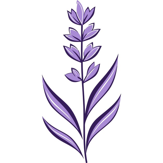 Vector simple yet elegant illustration of a lavender sprig perfect for branding packaging or adding a touch of nature to your designs