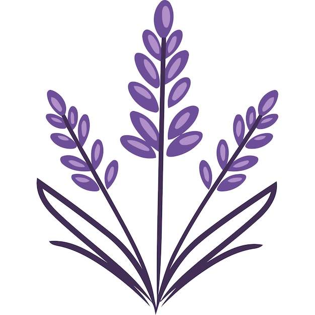 Vector simple yet elegant lavender illustration