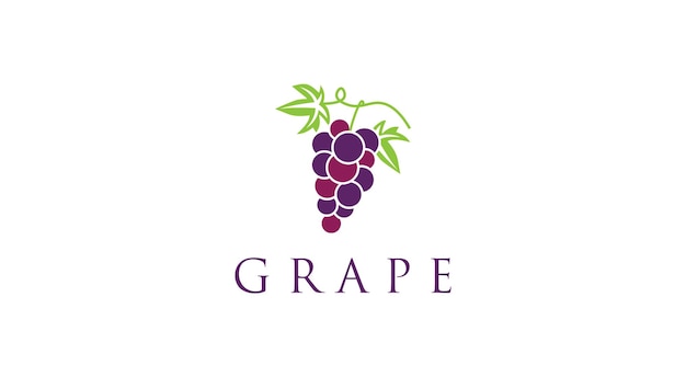 Simple Grape logo grapes icon vector