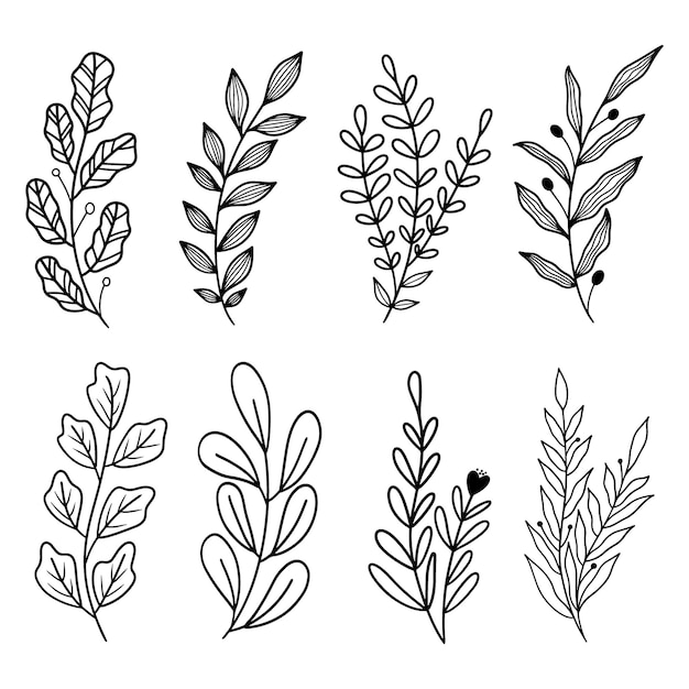 Simple Hand Drawn Line Art Leaf Clipart Vector Collection