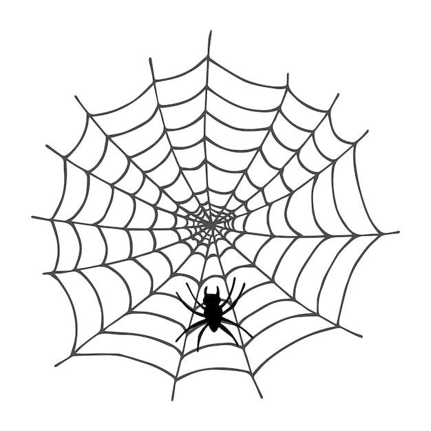 Simple hand drawn spider web illustration Cute gossamer clipart Halloween doodle