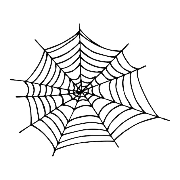 Simple hand drawn spider web illustration Cute gossamer clipart Halloween doodle