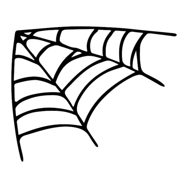 Simple hand drawn spider web illustration Cute gossamer clipart Halloween doodle