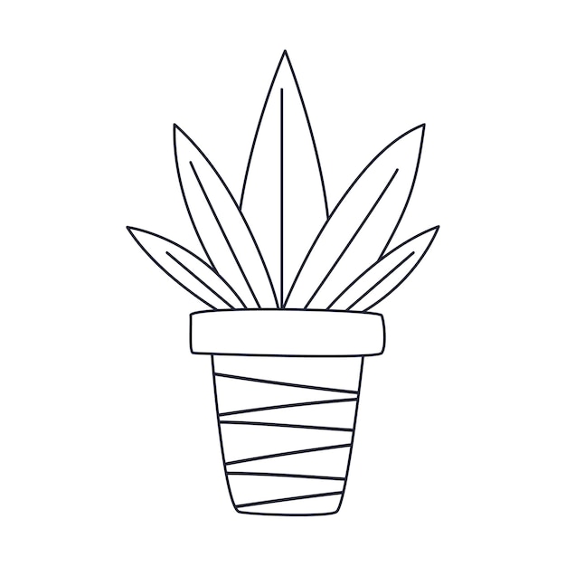 A simple house plant in a pot Outline doodle Black and white vector illustration isolated on white background