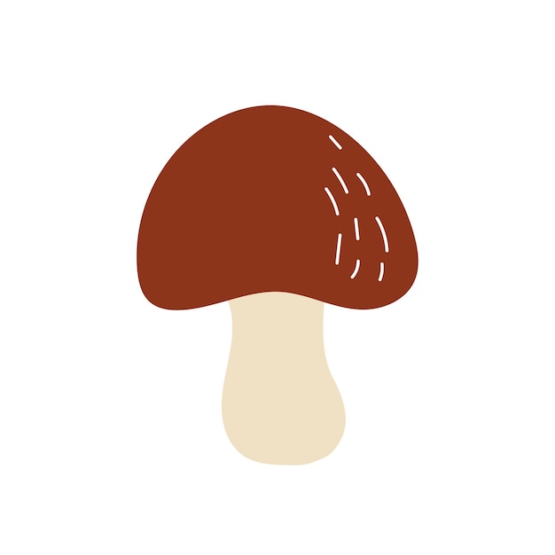 A simple icon is boletus. Hand-drawn mushroom on a white background