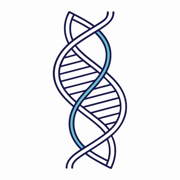 Vector simple line art icon of dna helix spiral with double coils