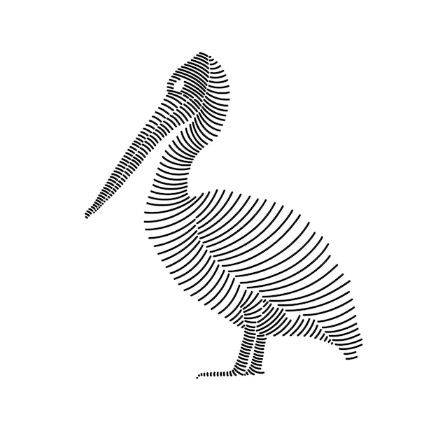 Simple line art illustration of a pelican 2