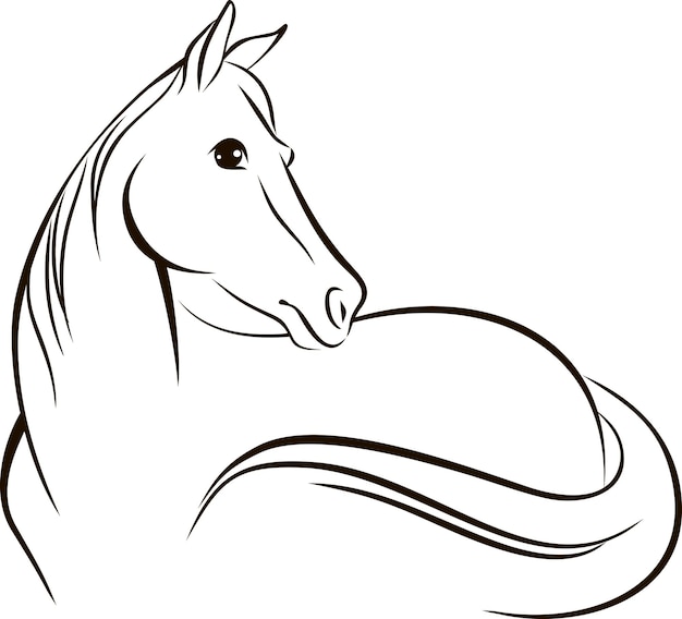 Simple line drawing of a horse