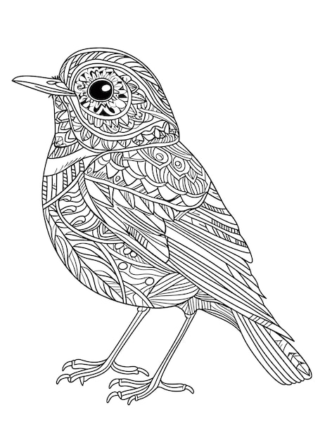 Vector simple mandala design with robin bird illustration