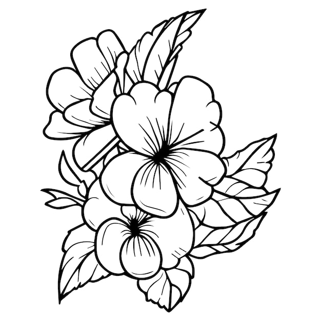 simple primrose coloring pages for kids primrose outline stock tattoo for children