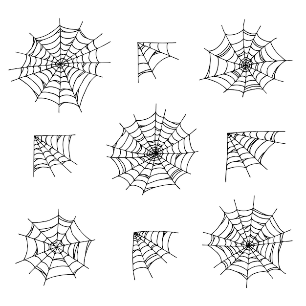 Simple set of hand drawn spider web illustration Cute gossamer clipart Halloween doodle