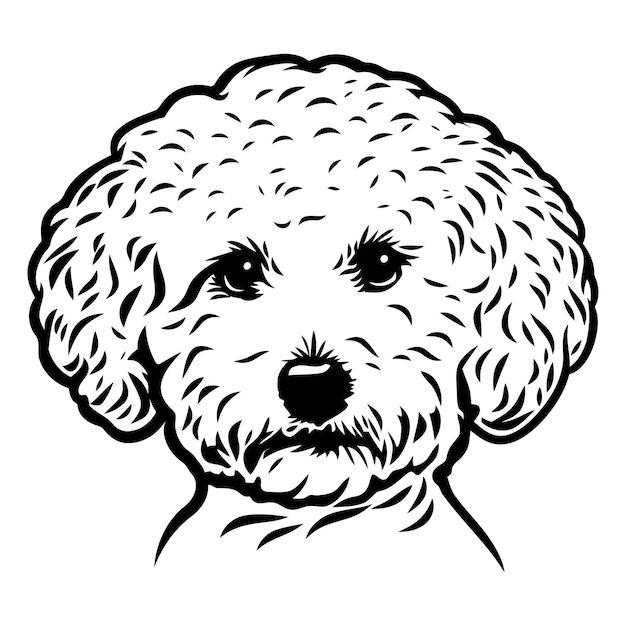 Vector a simple yet striking black and white illustration of a poodles face