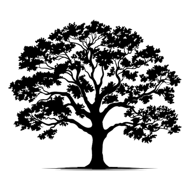 A simple yet striking silhouette of a large oak tree perfect for adding a touch of nature to your designs