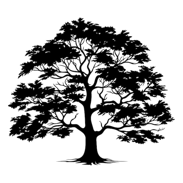 A simple yet striking silhouette of a large tree with a full spreading canopy