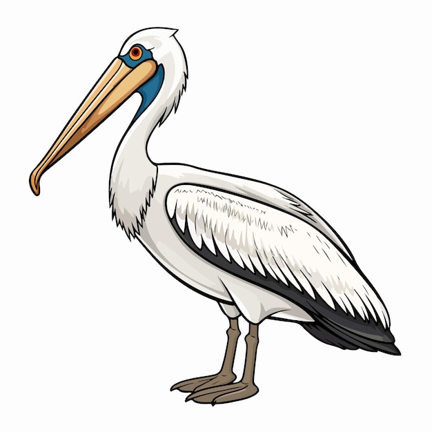 Simple Style Pelican Doodle on White Background